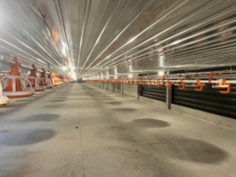 Lắp đặt TBCN 8 chuồng nuôi gà cho chủ đầu tư ông Hồ Minh Đức - Hà Tĩnh