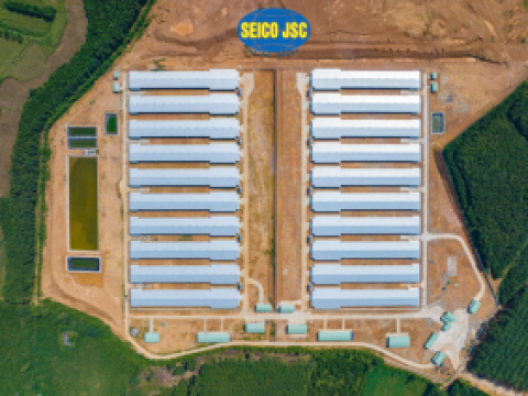 Dự án trại gà xuất khẩu công nghệ 4A Thường Xuân - Thanh Hoá