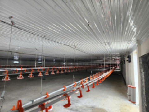 Cung cấp thiết bị gà thịt cho Công ty TNHH CJ VINA AGRI- CN Bình Dương