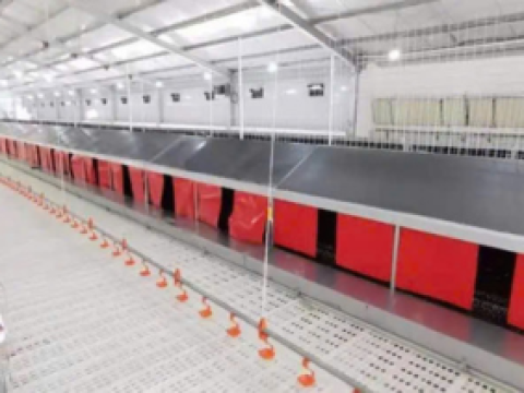 Lắp đặt thiết bị chăn nuôi cho 12 nhà nuôi gà tỉnh Bình Phước