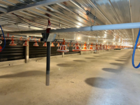 Lắp đặt TBCN cho 20 nhà gà thịt cho Công ty TNHH trang trại ECO