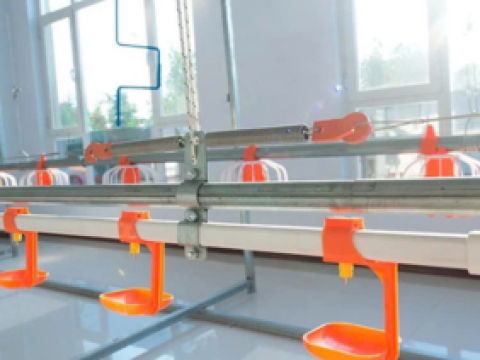 Lắp đặt TBCN 8 chuồng nuôi gà cho chủ đầu tư ông Hồ Minh Đức - Hà Tĩnh