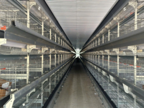 Lắp đặt hệ thống lồng gà tại Thừa Thiên Huế