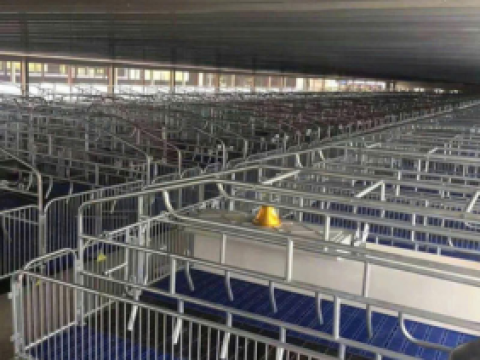 Công ty TNHH Đầu Tư trang trại Ao Trời - Thanh Hóa