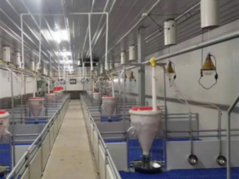 Công ty CP Đầu Tư Thuận Thành Phát - Thanh Hóa