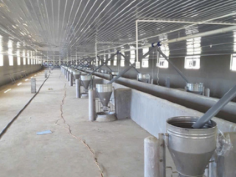 Công ty CP Đầu Tư Thuận Thành Phát - Thanh Hóa