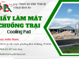 Bí quyết chọn mua giấy làm mát chuồng trại Cooling Pad Đồng Nai hiệu quả nhất