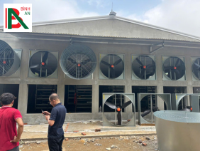 Lắp đặt hệ thống làm mát, sàn nhựa, quạt công nghiệp cho Công ty CP TM DV An Quân