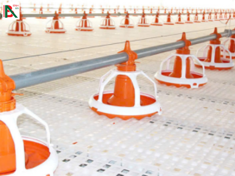 Cung cấp thiết bị gà thịt cho Công ty TNHH CJ VINA AGRI- CN Bình Dương