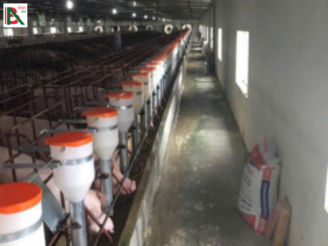 Công ty TNHH Đầu Tư trang trại Ao Trời - Thanh Hóa