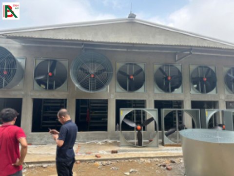 Lắp đặt hệ thống làm mát, sàn nhựa, quạt công nghiệp cho Công ty CP TM DV An Quân