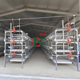 Hệ thống lồng gà chữ H