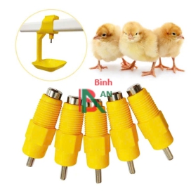 Núm gà thịt 360 ALKE & Big herdsman