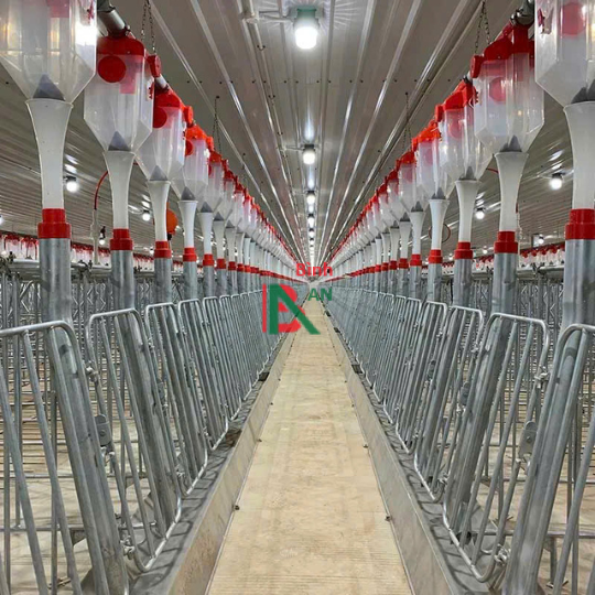 Thiết bị cho chuồng heo nái đẻ