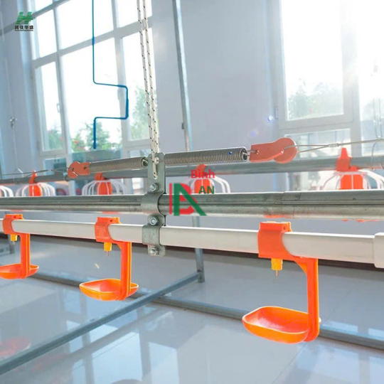 Thiết bị cho trại gà thịt