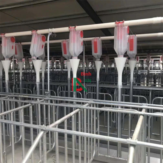 Thiết bị cho chuồng heo nái đẻ