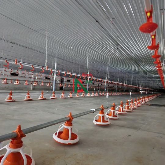 Thiết bị cho trại gà thịt