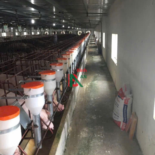 Thiết bị cho chuồng heo nái đẻ
