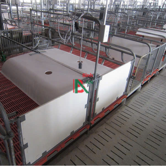 Thiết bị cho chuồng heo nái đẻ