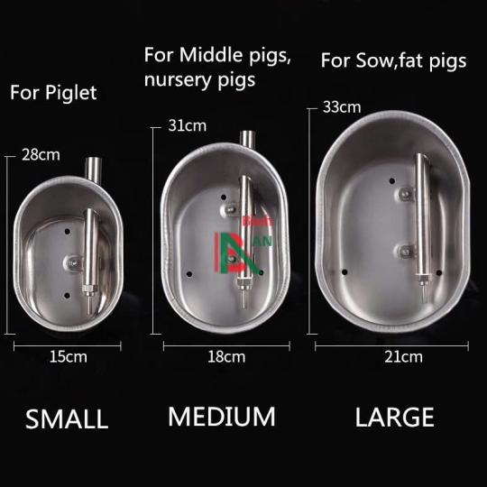 Hệ thống bát inox cho heo uống