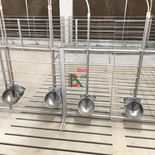 Hệ thống bát inox cho heo uống